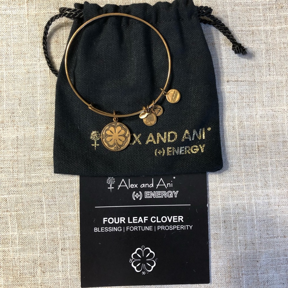 Alex and Ani bracelet
